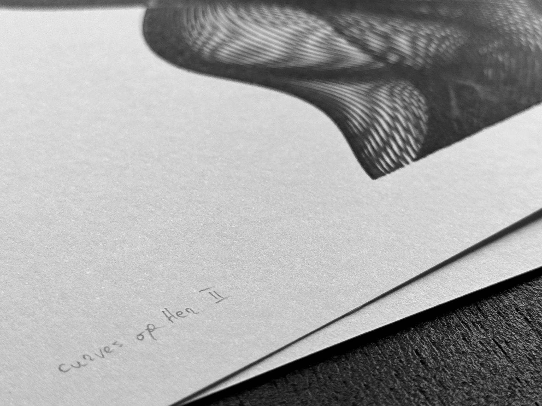Curves of Her No. 2, signature detail
