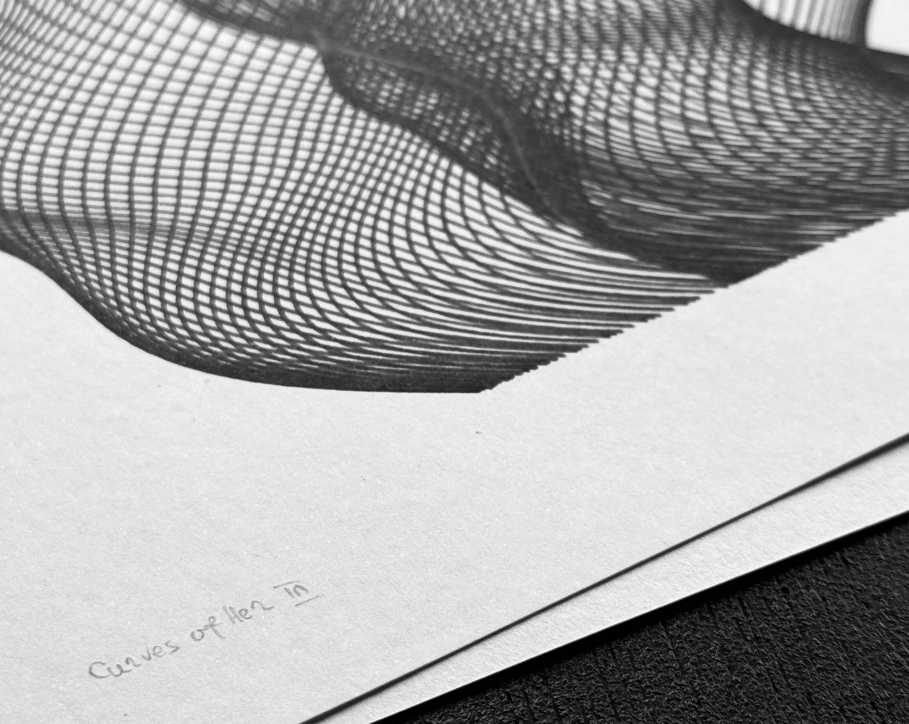 Curves of Her No. 3, signature detail