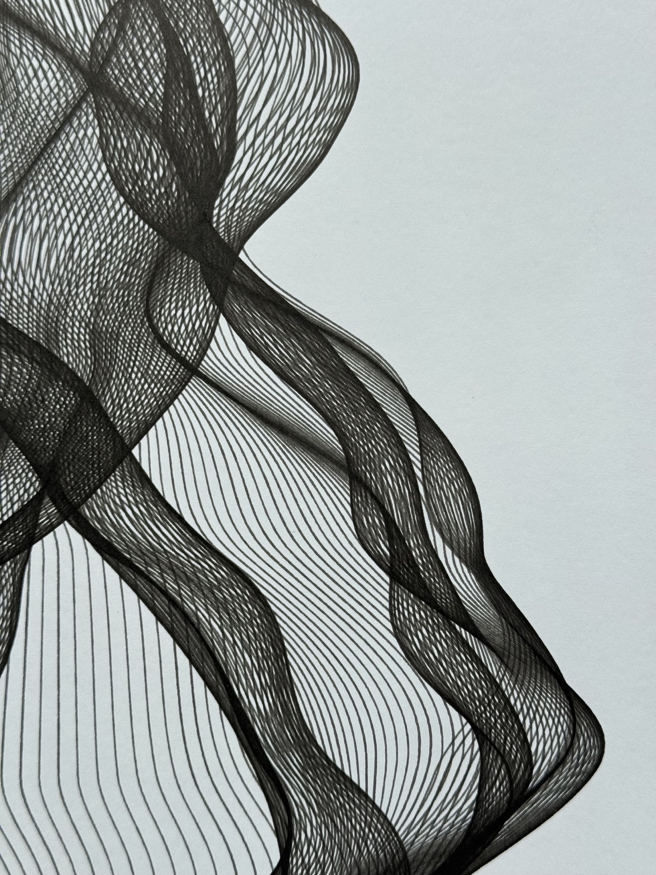 Curves of Her No. 4, linework detail