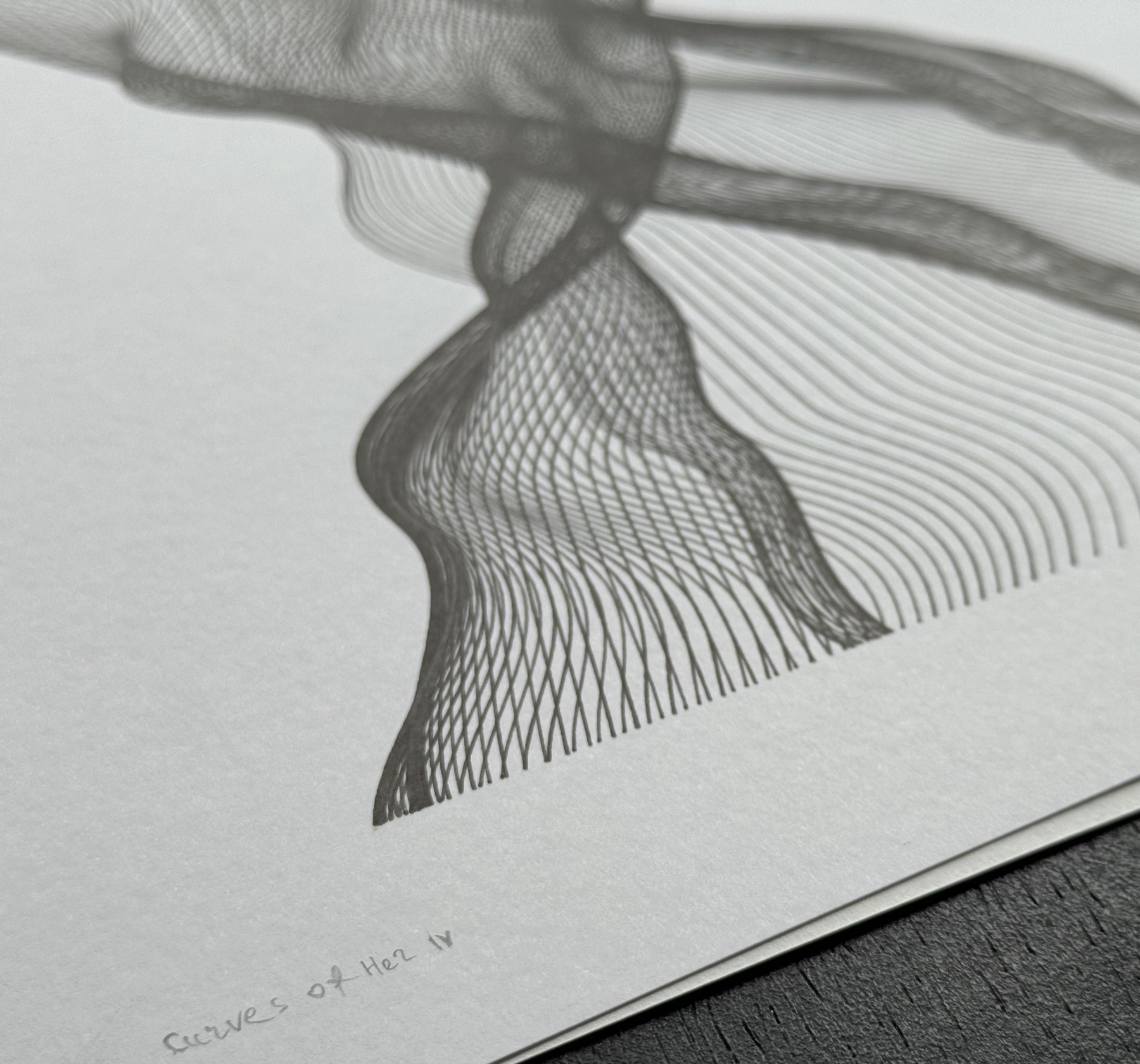 Curves of Her No. 4, signature detail