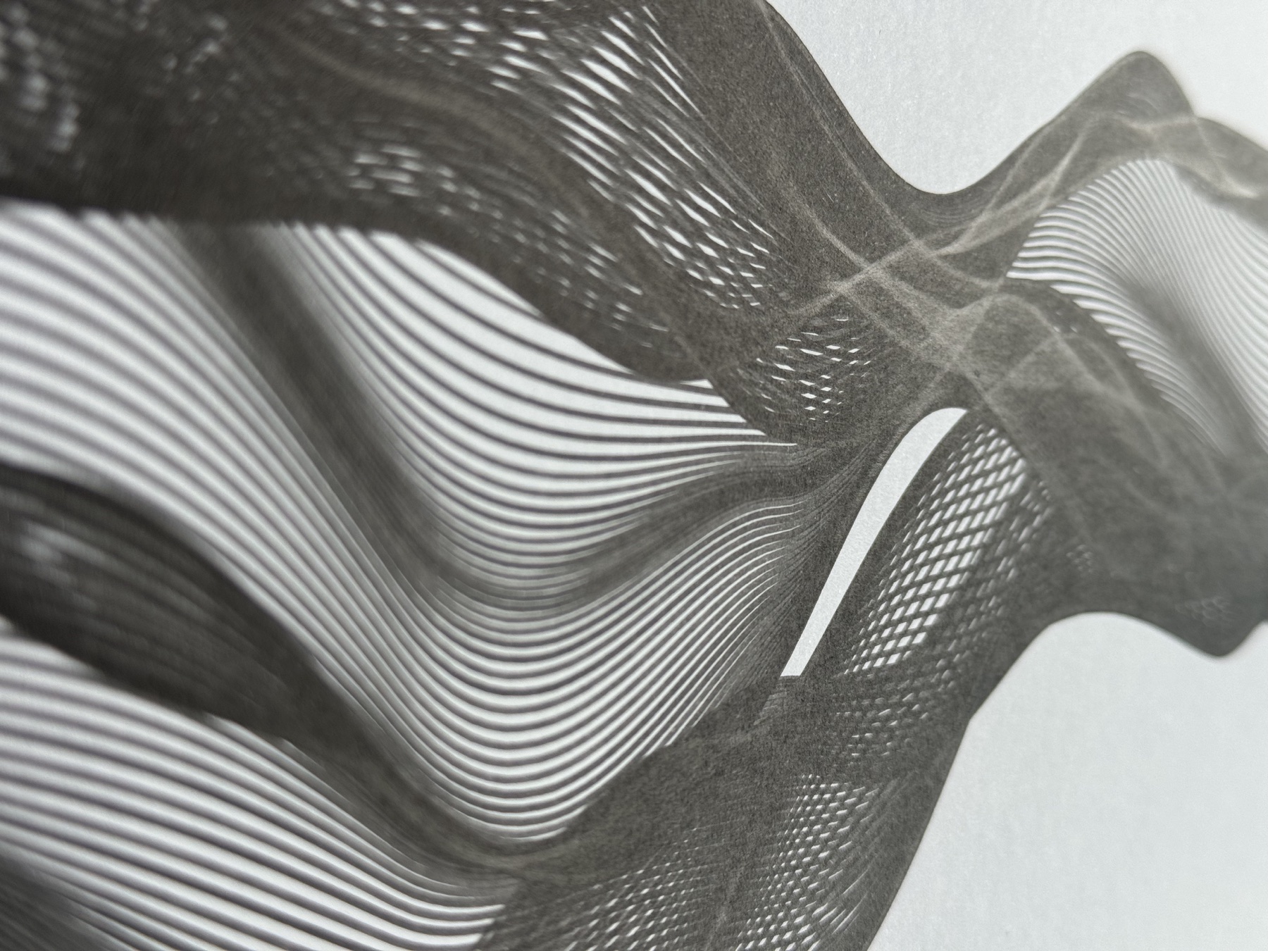 Curves of Her No. 5, linework detail