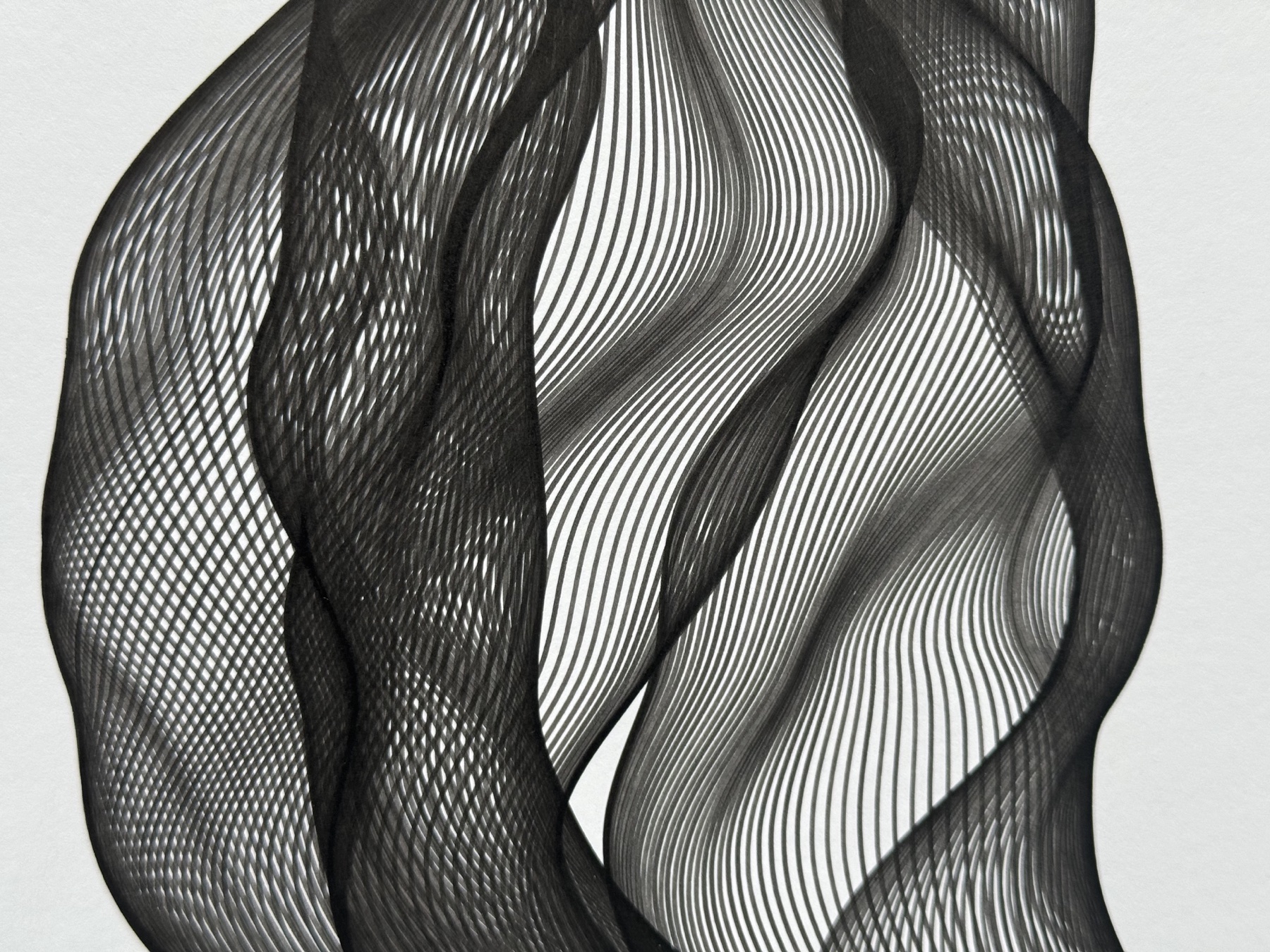 Curves of Her No. 5, paper texture