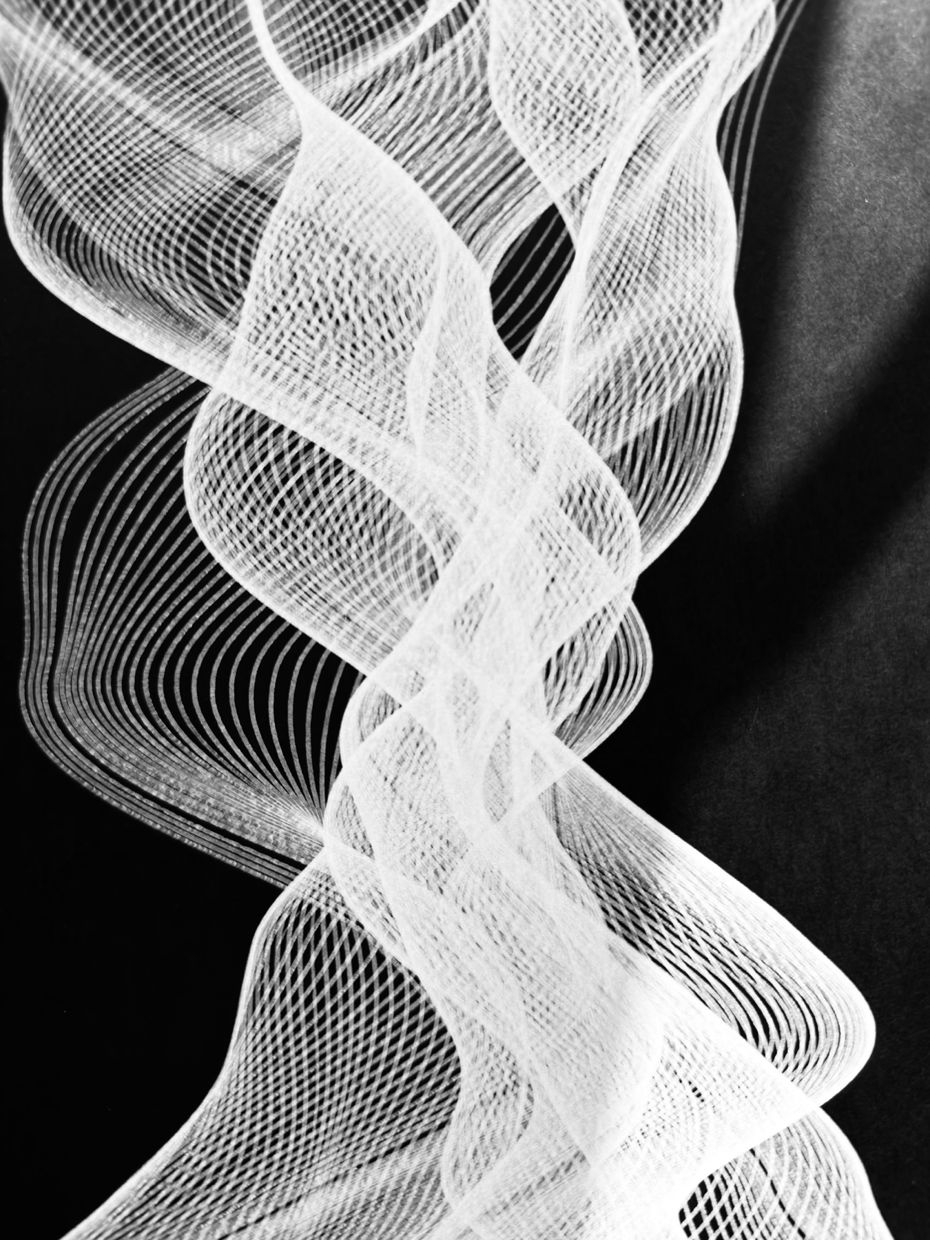 Curves of Her No. 6, linework detail