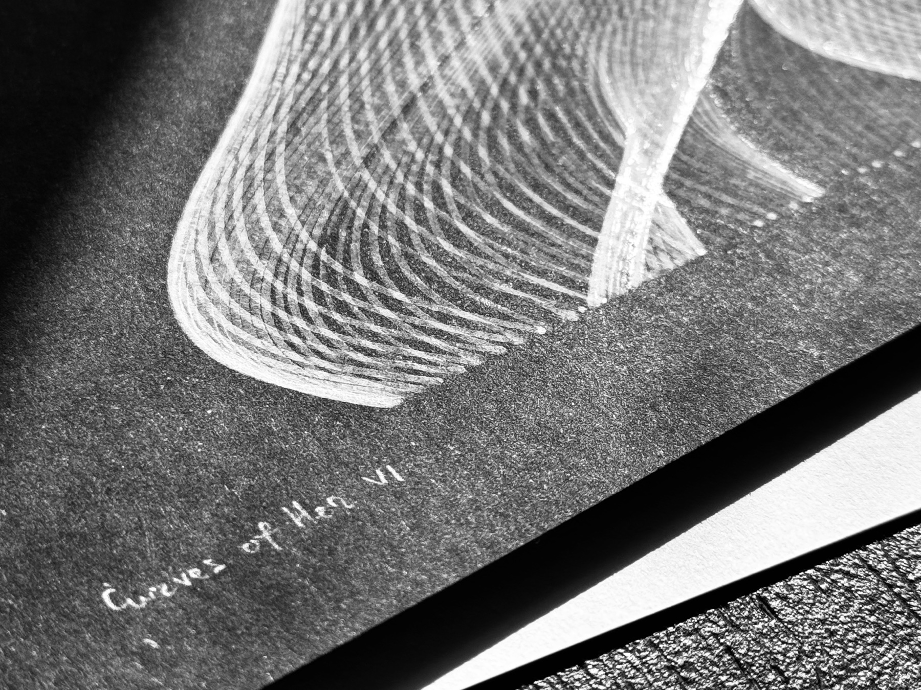 Curves of Her No. 6, signature detail